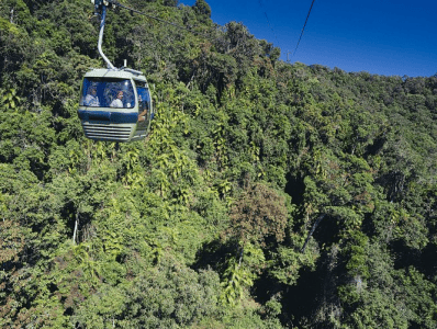 Skyrail Rainforest Cableway