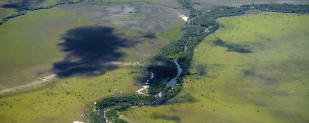 Guyana Rupununi