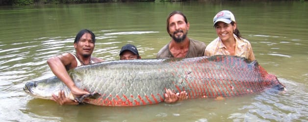 Giant Fish Reserva Nacional Pacaya Samiria