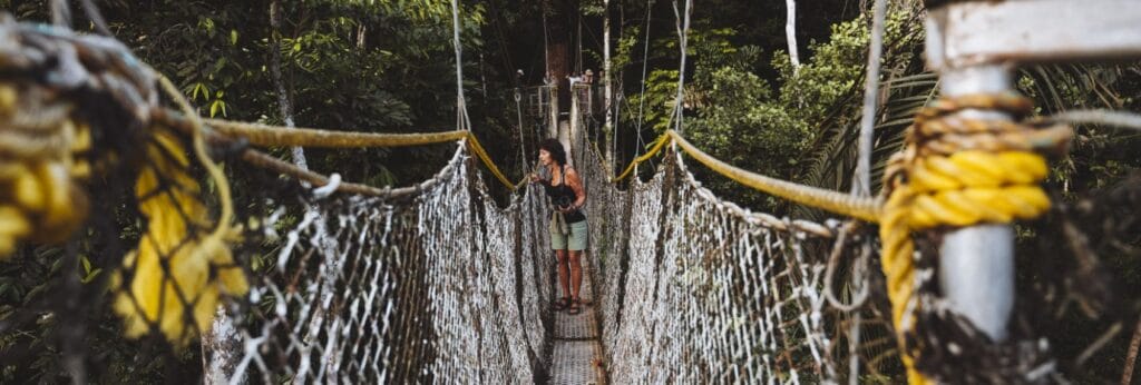 canopy walkway