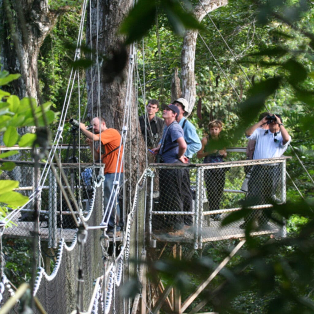 Canopy Walkway