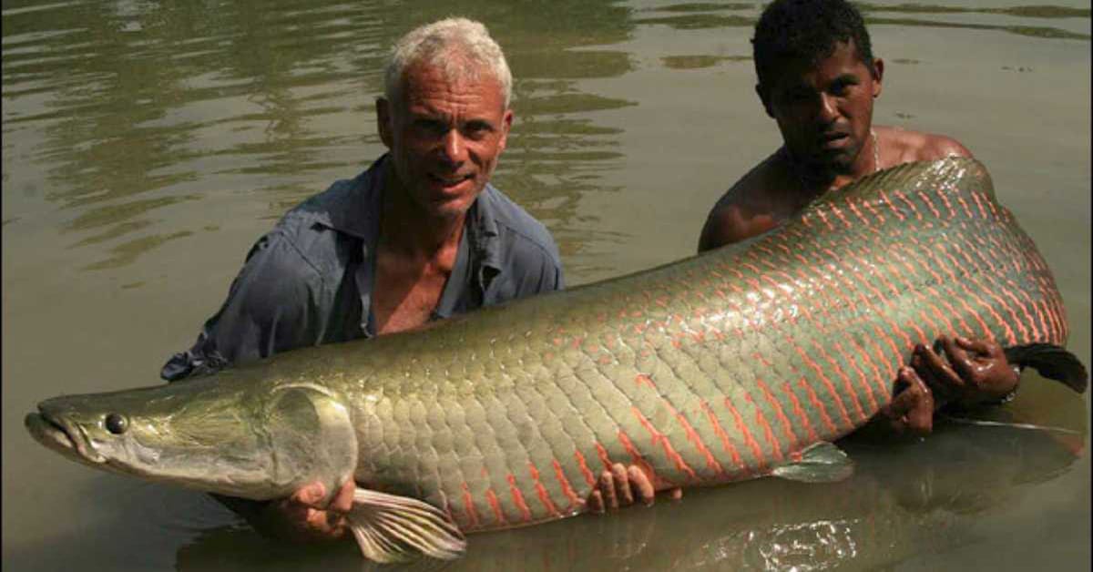 River Monsters