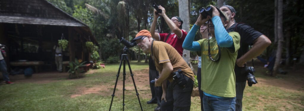 bird watching guyana