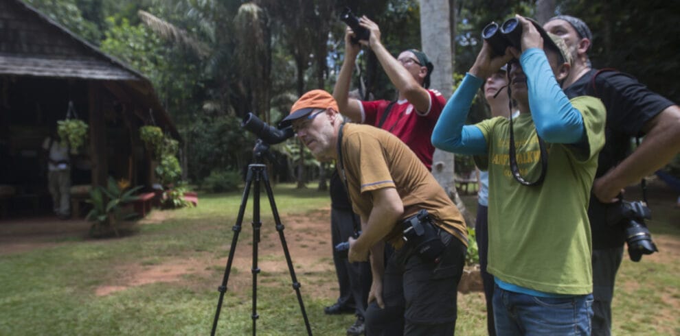 bird watching guyana