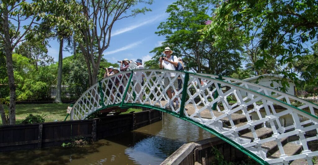 Birding in the Botanical Gardens