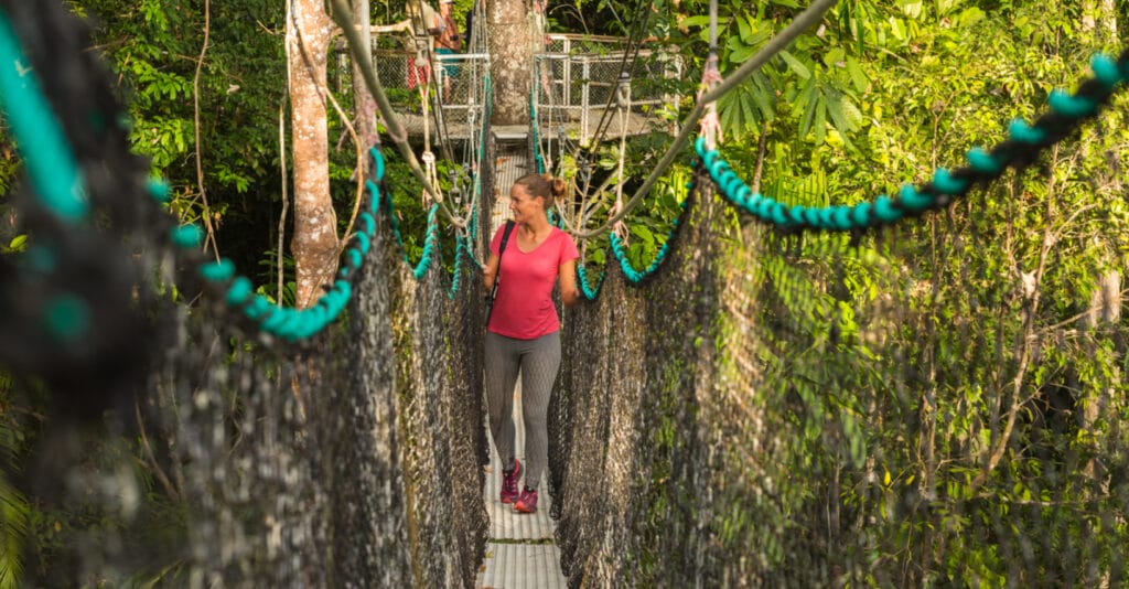 Canopy walkway