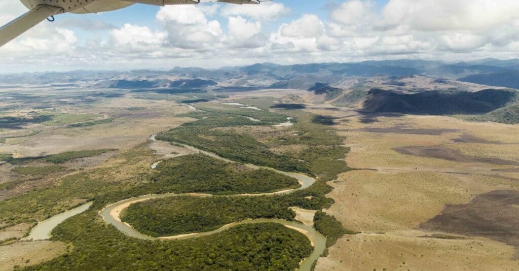 Guyana Rainforest