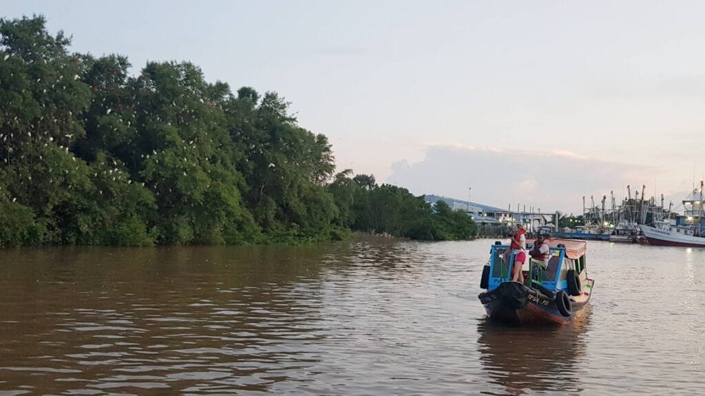 Demerara River