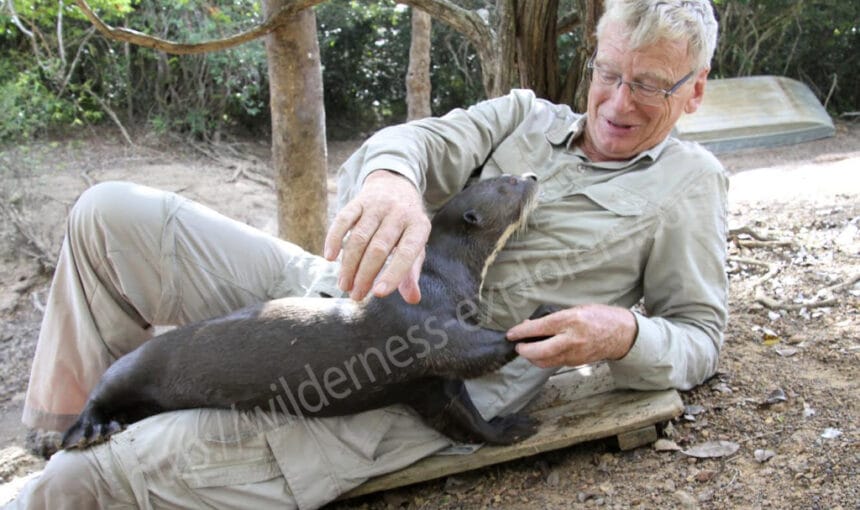 Otter Love at Karanambu