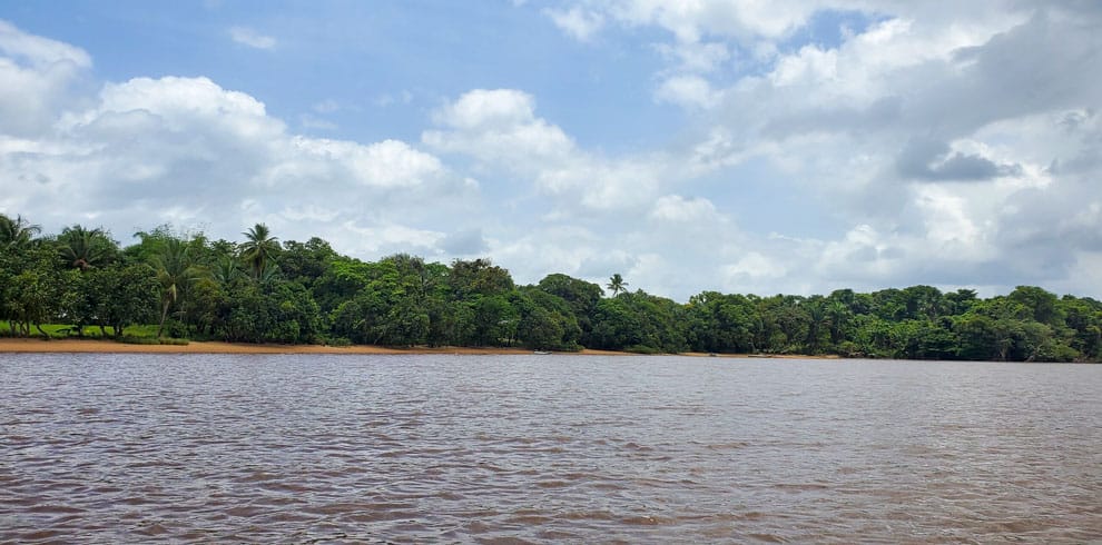 Essequibo River Tour in Guyana