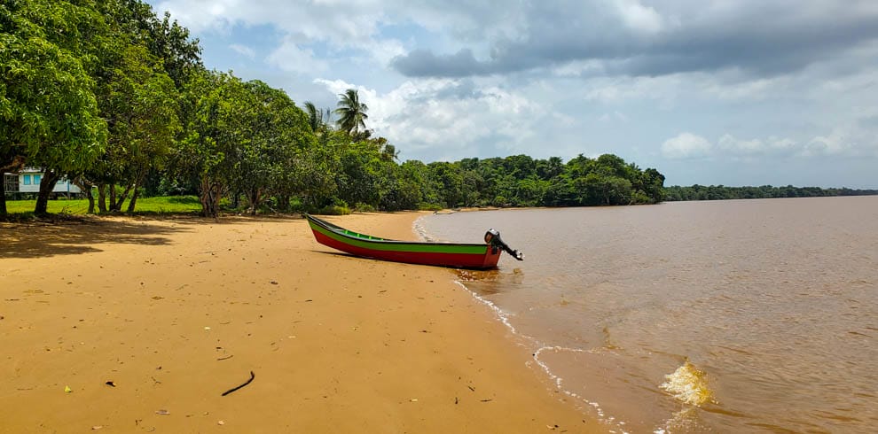 Essequibo river tour - featured image