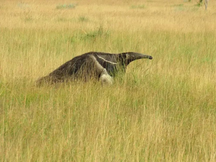 71141963_743089189445933_1776679111083687936_o