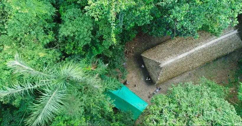 New-Project-31-1 (1)