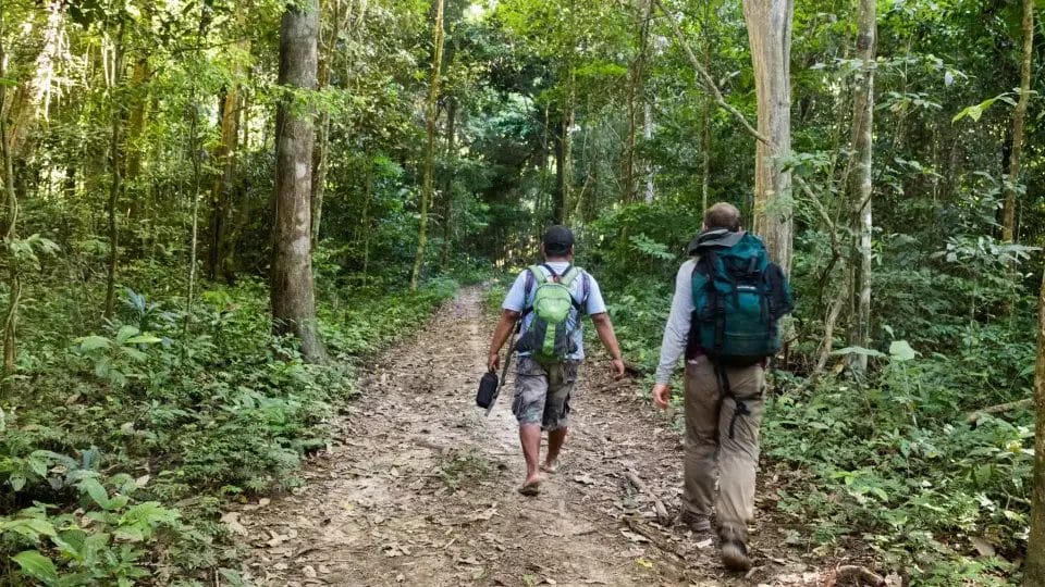 Surama-Eco-Lodge-11-1