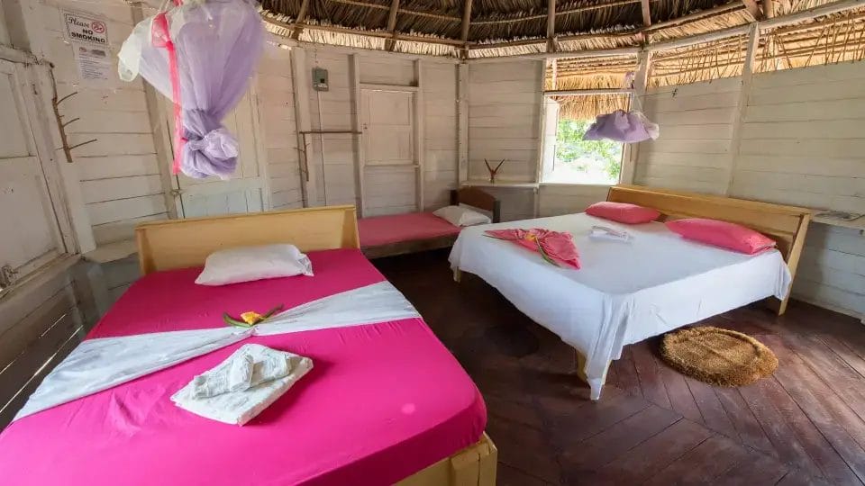 Surama-Eco-Lodge-6-1