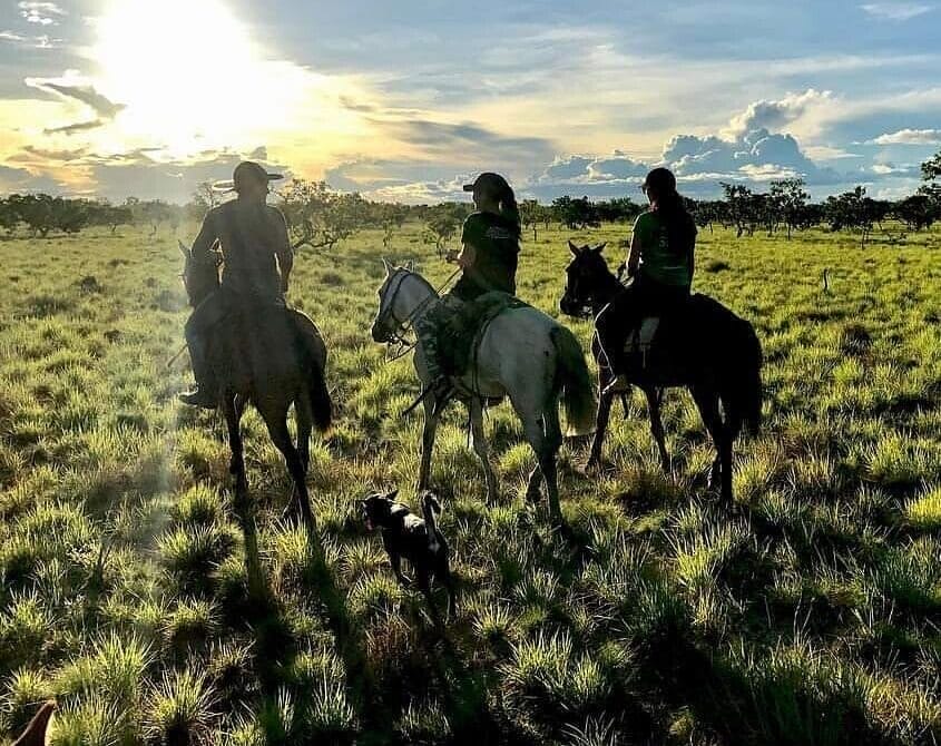 Saddle Mountain Ranch 2