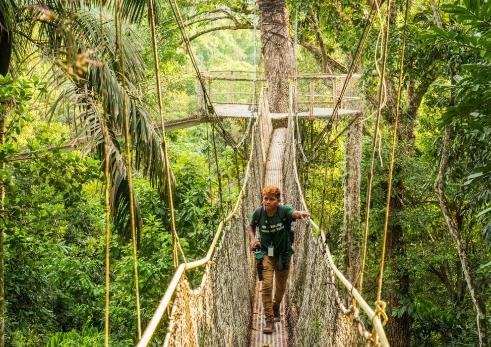 Iwokrama Canopy Walkway - © David DiGregorio.